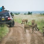 Uganda Road Trip: Complete Guide to Self-Drive Adventure