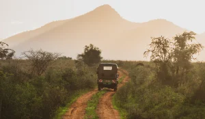 Long-Term Car Rental in Uganda for Expats and Digital Nomads
