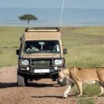 The Ultimate Guide to Renting a Car in Uganda from South African