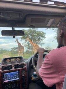 one way car rental uganda